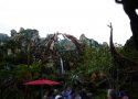 Florida-Day-11-083-Disneys-Animal-Kingdom-Pandora-the-World-of-Avatar