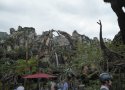 Florida-Day-11-084-Disneys-Animal-Kingdom-Pandora-the-World-of-Avatar