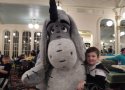 Florida-Day-13-157-Magic-Kingdon-Crystal-Palace-Character-Dining-Eeyore