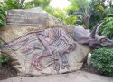 Florida-Day-15-156-Universal-Orlando-Islands-of-Adventure-Jurassic-Park