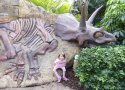 Florida-Day-15-157-Universal-Orlando-Islands-of-Adventure-Jurassic-Park