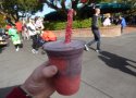 Florida-Day-19-004-Magic-Kingdom-Cheshire-Cafe-Wonderland-Slushy