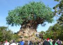 Florida-Day-5-020-Disneys-Animal-Kingdom-Tree-of-Life