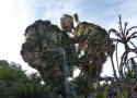 Florida-Day-5-154-Disneys-Animal-Kingdom-Pandora-The-World-of-Avatar