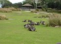 Florida-Day-08-044-Disneys-Animal-Kingdom-Kilimanjaro-Safaris