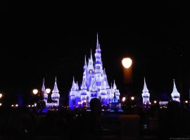 Florida Day 09 - 150 Disneys Magic Kingdom Cinderella Castle