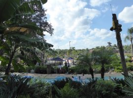 Florida Day 09 - 101 Typhoon Lagoon